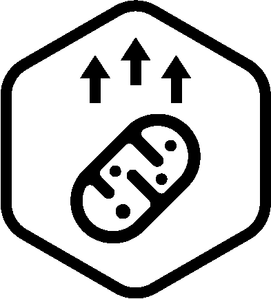 Raise Mitochondrial Function icon