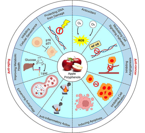 A deep dive into the orchard of health: